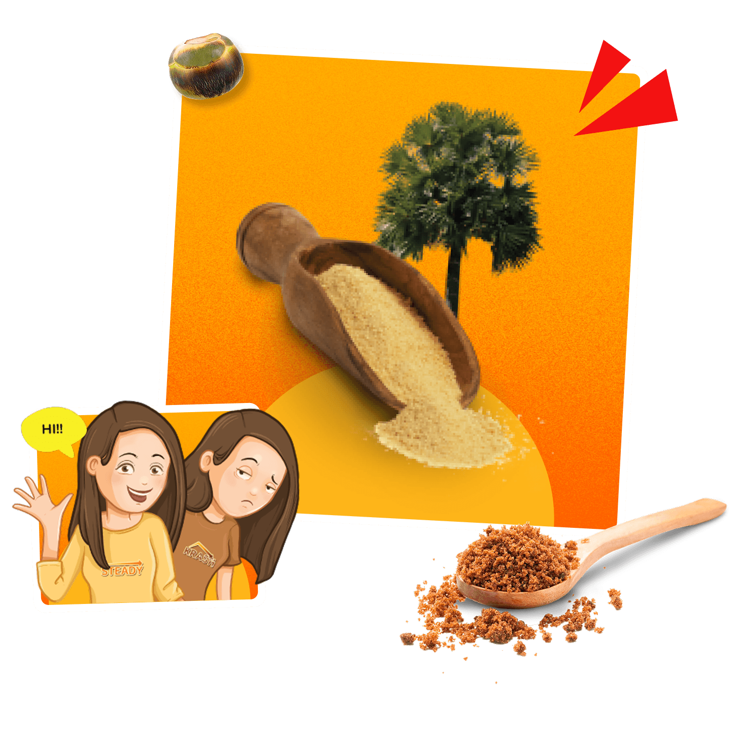 Lontar Sugar