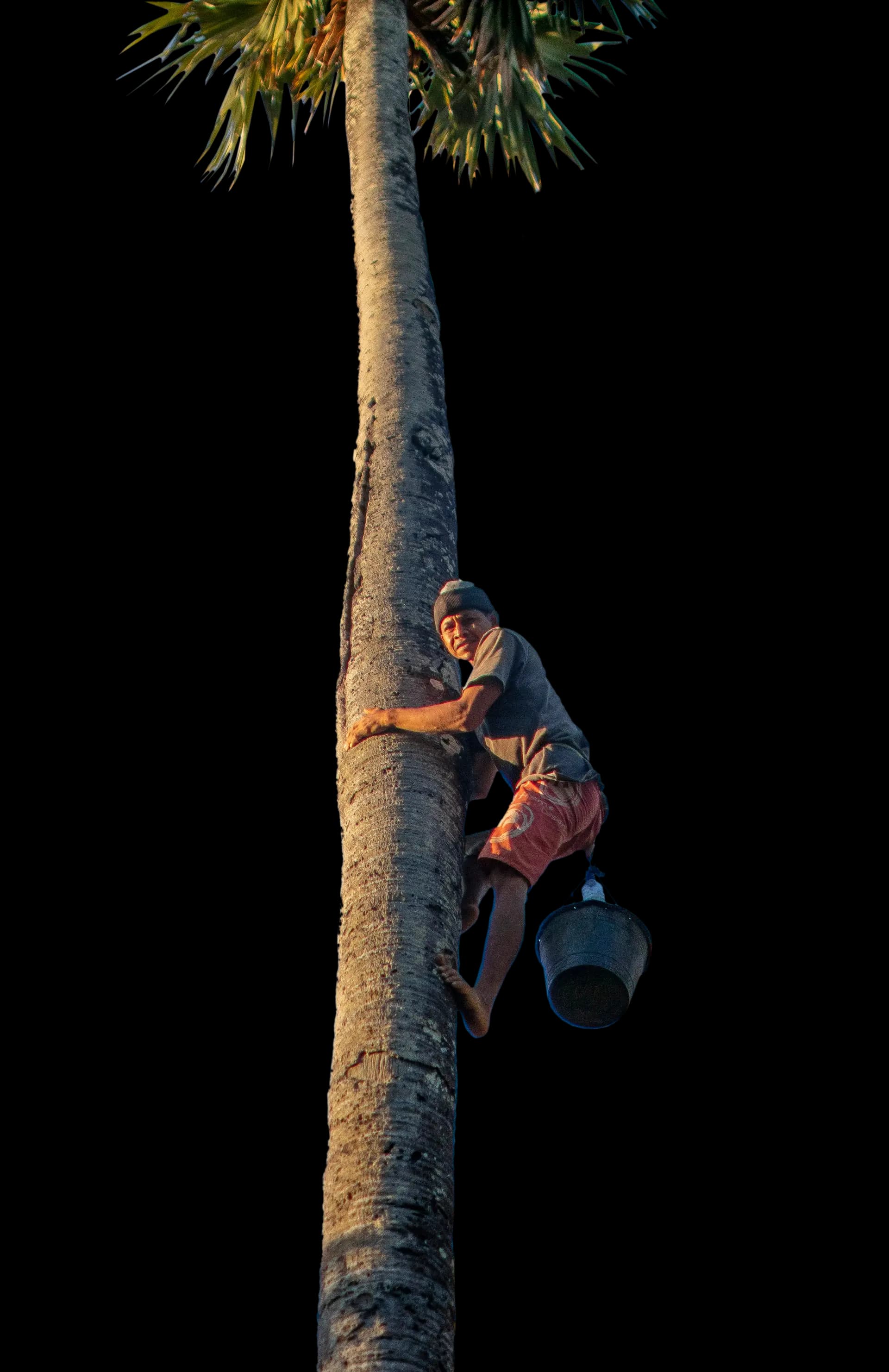 Genuine Indonesia Ingredients