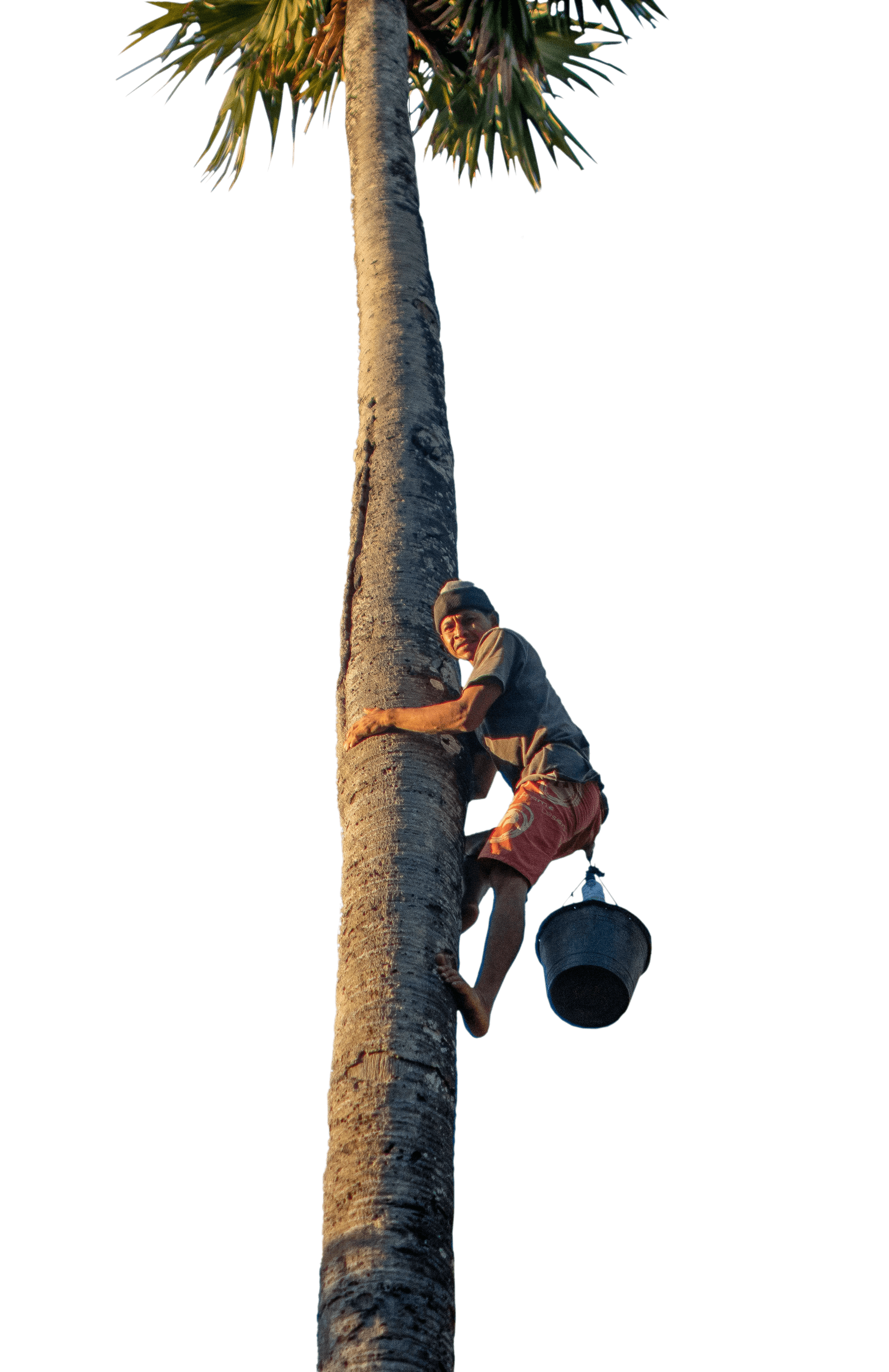 HOW? Genuine Indonesian Ingredients